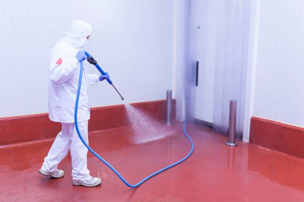 Professional  Pressure Washing Services in Womelsdorf, PA